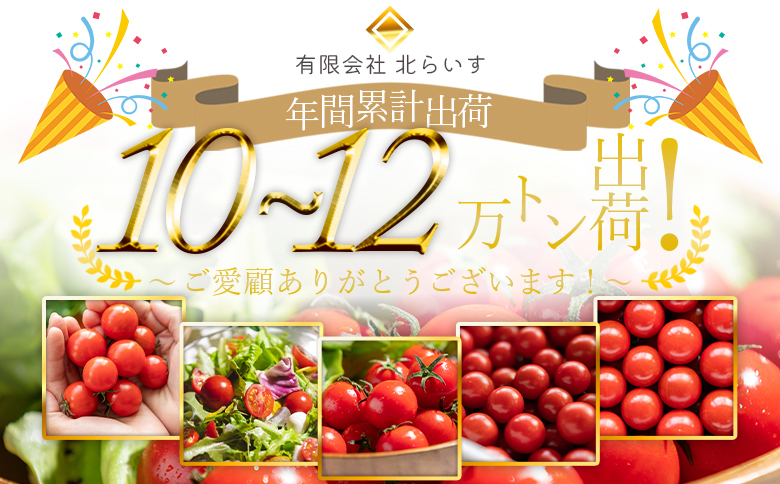 真っ赤に輝くフルーツトマト