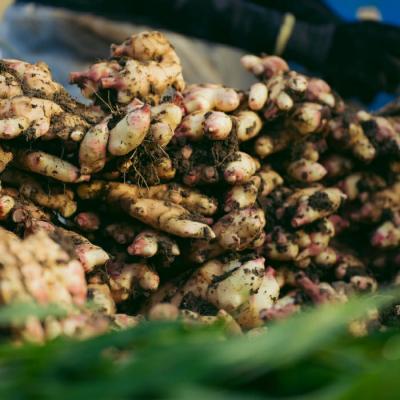 ふるさと納税 四万十市 【山崎生姜農園】生姜農家が作った至高の生姜ジャム 26 |  | 02