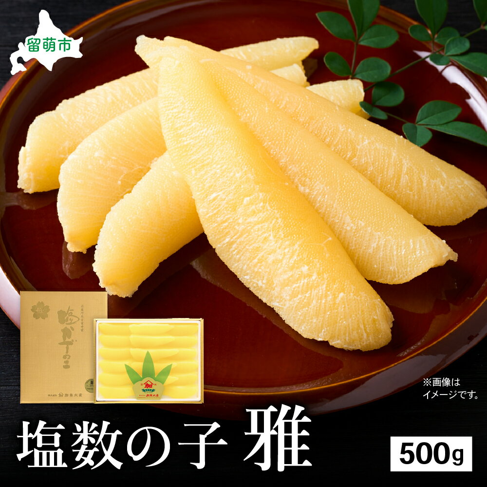 【ふるさと納税】数の子 塩数の子 雅 500g 大サイズ かずのこ カズノコ 海鮮 海産物 魚介 魚介類 贈答品 ギフト　お届け：2024年11月上旬～12月下旬まで