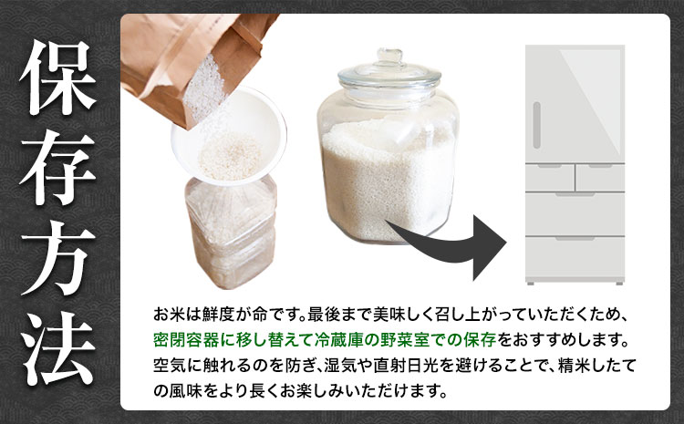 【3ヶ月定期便】令和7年産 薩摩のさつま ひのひかり  5kg×1袋×3回 計15kg  北さつま農協《お申込み翌月から出荷》鹿児島県 さつま町 米 こめ コメ お米 精米 白米 ヒノヒカリ 鹿児島県
