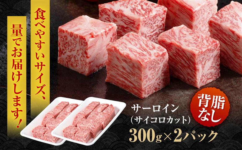 佐賀牛 SPサーロインサイコロ 600g（300g×2パック） 【株式会社いろは精肉店】 [IAG238]