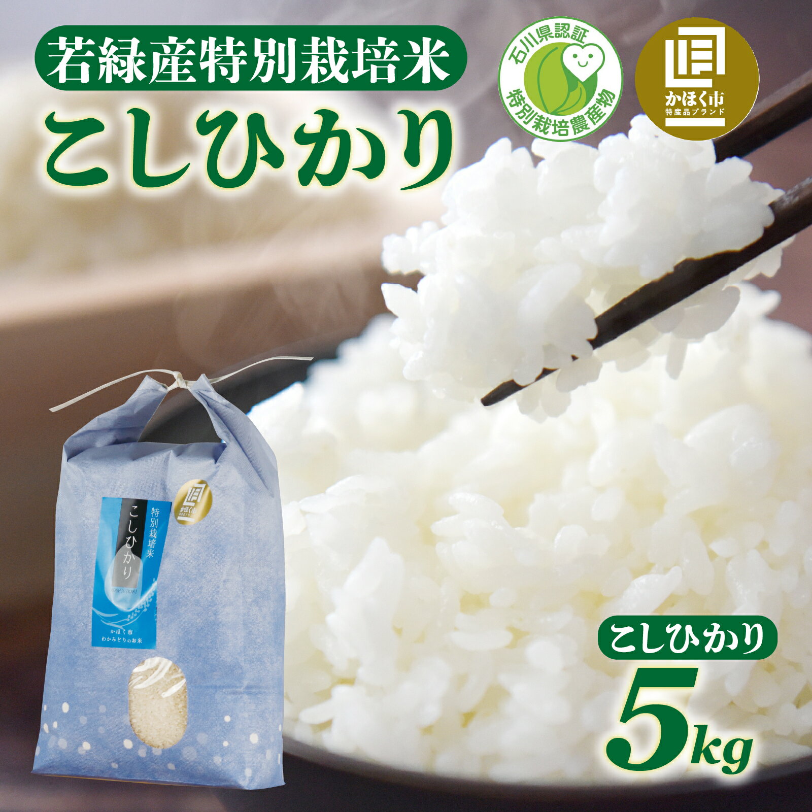 【ふるさと納税】【先行予約】【発送月が選べる】若緑産 特別栽培米 こしひかり 5kg【2025年11月より順次発送】 / 新米 令和7年産 米 単一原料米 コシヒカリ 国産 こめ コメ 白米 食品 常温 ご飯 お取り寄せ 送料無料 5キロ