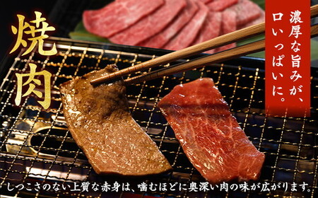 亀岡牛 赤身焼肉 300g 訳あり焼肉