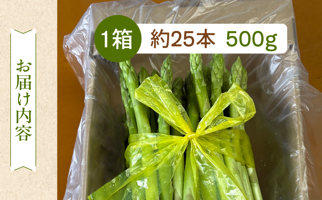 先行予約（2026年5月から順次発送）高級アスパラガス 隆至の龍 500g（約25本入り）レギュラーサイズ アスパラ 下呂市 期間限定 限定 こだわり ブランド【大黒屋農園】【119-3】 アスパラ 