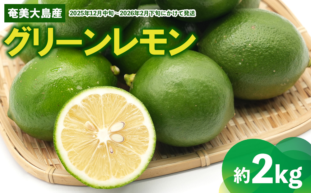 【あたり果樹園】奄美大島産 グリーンレモン 約2kg 鹿児島県 奄美群島 奄美大島 龍郷町 国産 奄美産 青果 果物 くだもの フルーツ レモン れもん 檸檬 ノーワックス フレッシュ まろやかな酸味 南国 お取り寄せ 期間限定 数量限定