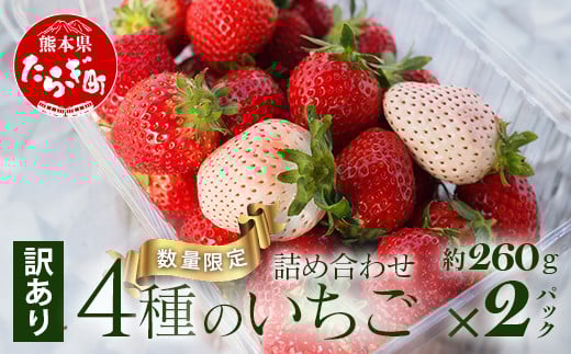 【先行予約】【訳あり】熊本県産 いちご 詰め合わせ 約260g×2パック ≪ 苺 イチゴ 数量限定 坂下農園 イチゴ 2パック 苺 フルーツ 果物 春 名産 熊本 多良木町 ビタミン 旬 先行予約 ≫103-0009