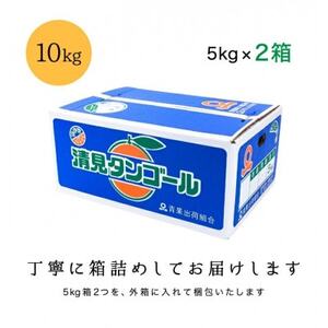 【まるで食べるジュース!越冬完熟品】愛媛産 訳あり 清見オレンジ 10kg【F20-34】【1594861】