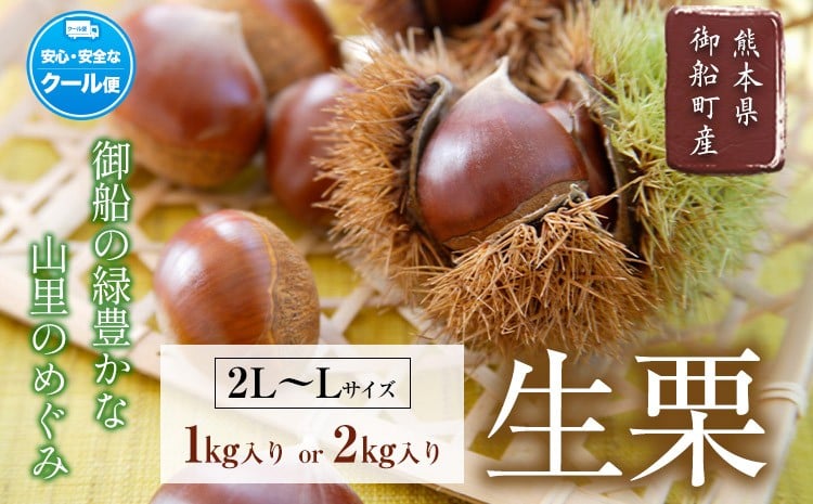 
            【先行予約】生栗 熊本県御船町産限定 約1kg 約2kg(2L-Lサイズ) 期間限定 野菜 予約 スイーツ きんとん 甘露煮 渋皮煮 栗ご飯 熊本県御船町《2026年9月上旬-9月下旬頃出荷》
          