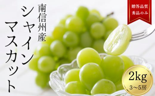 
            JA11-25A ぶどう シャインマスカット 約2kg ／2025年9月中旬～10月中旬ごろ配送 // 長野県 南信州 シャイン マスカット 種なし 大粒 甘い 葡萄 人気 新鮮 厳選 贈答
          