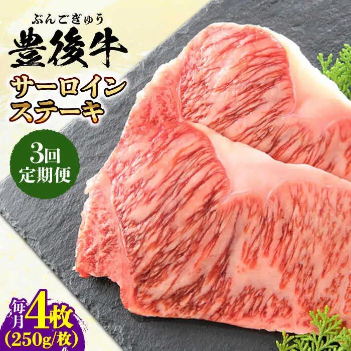 【全3回定期便】おおいた豊後牛 サーロインステーキ 1kg (250g×4枚) サーロインステーキ [AREI059]