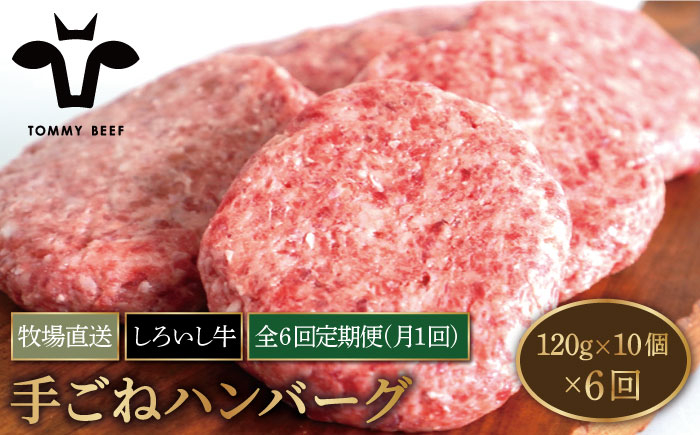 
【牧場直送】【6回定期便】佐賀県産しろいし牛 ボリュームたっぷり 手ごね ハンバーグ 120g×10個【有限会社佐賀セントラル牧場】 [IAH058]
