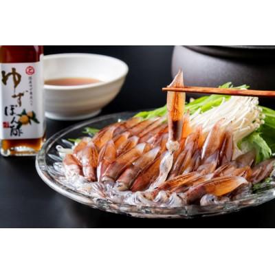 ふるさと納税 富山県 ほたるいかしゃぶしゃぶセット