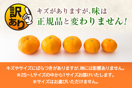 訳あり 数量限定 海藻木酢みかん 計5kg以上 傷み補償分付き フルーツ 果物 くだもの 柑橘 みかん　国産 期間限定 食品 家庭用 自宅用 B品 わけあり オレンジ デザート おやつ おすすめ おす