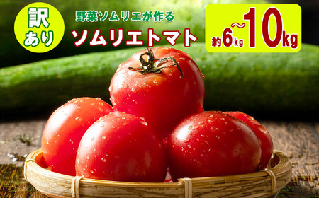 大玉 訳あり ソムリエトマト 約 6kg ～ 10kg (約3kg～5kg × 2箱) | ミニトマト トマト とまと 熊本県 玉名市 野菜