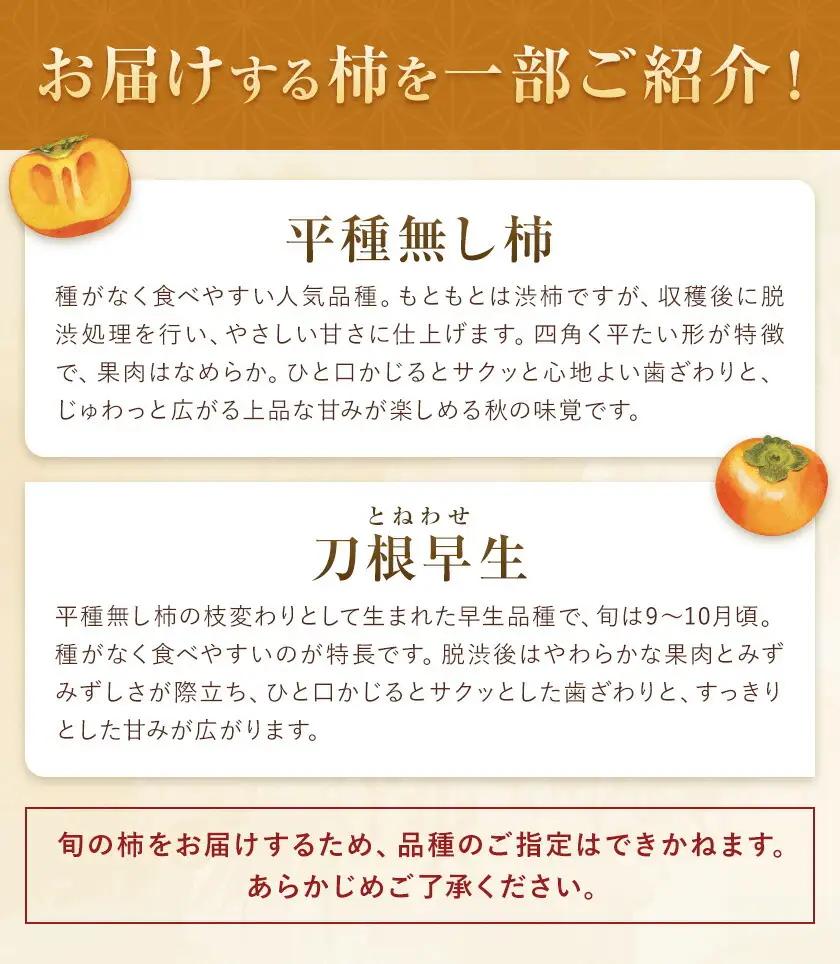 たねなし柿 訳あり 1kg 農業福祉研究機構