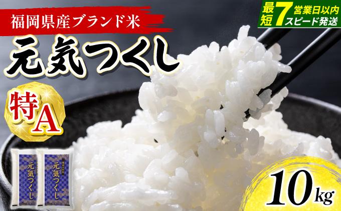 【最短7営業日以内発送】福岡県産米 元気つくし 10kg 令和7年産 ※北海道・沖縄・離島は配送不可【精米 7年産 国産 福岡県産 お米 ブランド米 10kg げんきつくし】CY012 10kg（5k