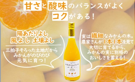 山北みかんジュース720ml6本 - 果汁100％ 高知県産 ブランドみかん 温州みかん ストレートジュース 果物 フルーツ 柑橘 オレンジ おいしい 甘い おすそ分け 飲み物 yk-0011