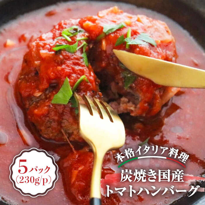 【ふるさと納税】炭焼き 国産 ハンバーグ (トマトソース) 230g×5個＜PUNTO MARE＞那珂川市 | 父の日 ハンバーグ お惣菜 洋食 国産 炭焼き イタリアン トマト[GCB004] 20000 20000円 2万円 以下