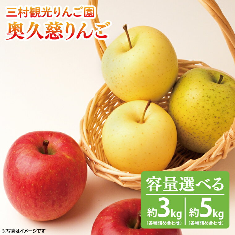 【ふるさと納税】【先行予約・数量限定】三村観光りんご園の奥久慈りんご（各種詰め合わせ）約3kg・約5kg【10月中旬頃順次発送予定】｜茨城県 大子町 林檎 旬 果物 フルーツ 果実 果汁 ギフト 贈答（BX001-1）