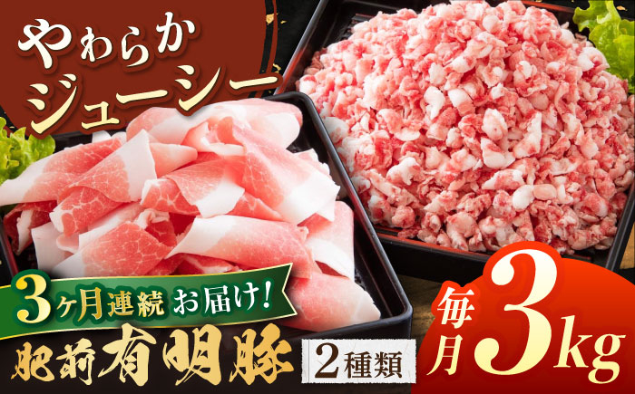 
【3回定期便】肥前有明豚 2種 切り落とし・粗挽きミンチセット 総計9kg【くすのきファーム】 [NAS101]

