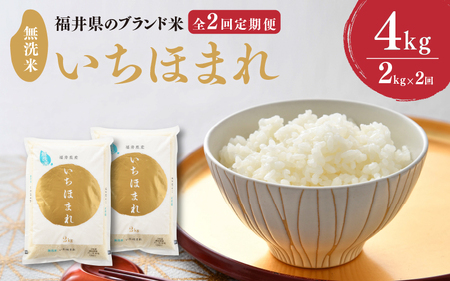 【令和7年産】定期便 ≪2ヶ月連続お届け≫ 福井県のブランド米 いちほまれ 無洗米 2kg × 2回 計4kg 【 人気 品種 ブランド米 特A 】 [A-6116]