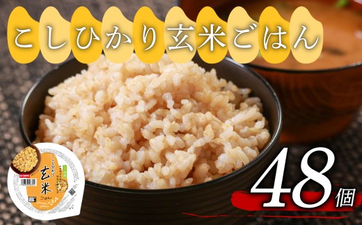 こしひかり 玄米ごはんパック 160g 48個 玄米 米 ごはん ご飯 こめ パックライス パックご飯 パックごはん ご飯パック ごはんパック パック ライス 備蓄 保存 非常 防災 電子 レンジ 温めるだけ レンチン 簡単 健康 ダイエット 美容 ヘルシー レトルト インスタント おいしい 人気 おすすめ 48 48食 おくさま印 人気の玄米ご飯パック 美味しい玄米ご飯パック 大阪 松原