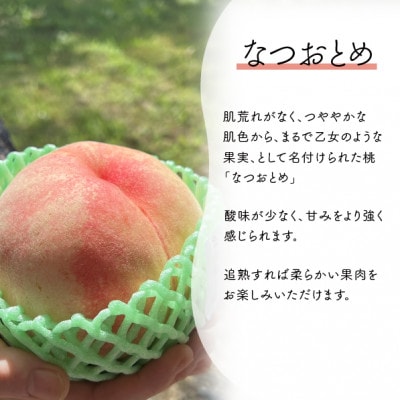 【きよとうファーム】乙女のような可愛い甘い桃「なつおとめ」上級品 5-7玉入(岡山県産)【配送不可地域：離島】