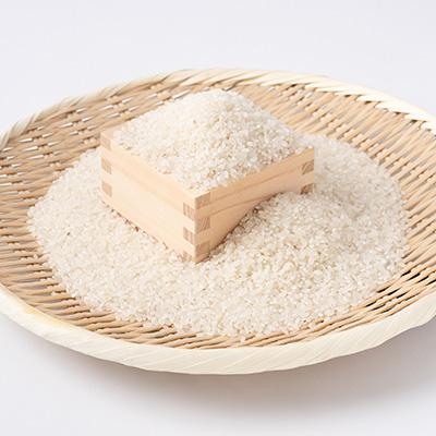 ふるさと納税 大子町 【新米先行予約】アミーゴ米 2kg(コシヒカリ・白米・天日干し)【11月中旬頃出荷】|茨城県 大子町 |  | 02