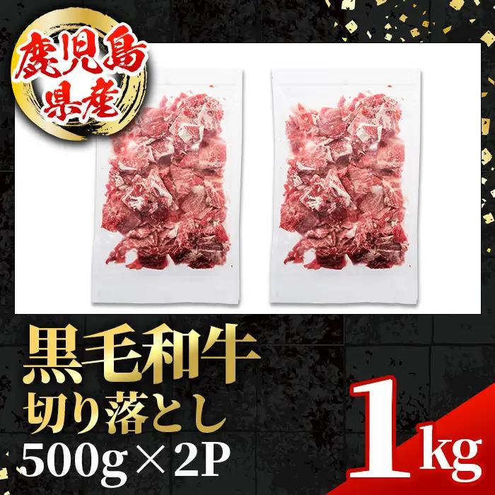鹿児島県産 黒毛和牛 切り落とし 計1kg 500g×2パック 牛肉切り落とし 【スターゼン】 i1000