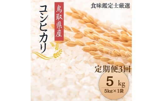【定期便全3回】【令和7年産新米】【食味鑑定士厳選】 鳥取県産 コシヒカリ5kg (5kg×1袋) 合計 15kg【定期便 新米 米 お米 こめ 白米 こしひかり ご飯 ごはん 白ごはん 白ご飯 鳥取県 北栄町 おすすめ 人気 2025年産 令和7年 厳選 セット 詰合せ 国産 送料無料】