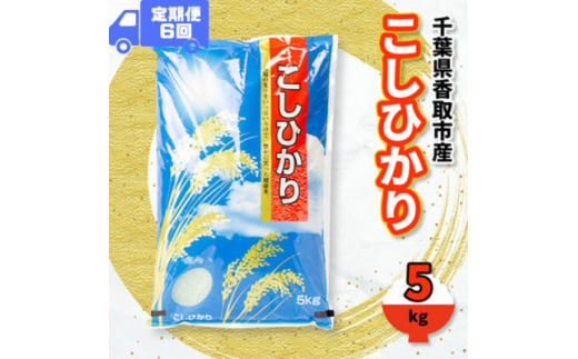 ＜毎月定期便＞千葉県香取市産 の お米 100% コシヒカリ 5kg全6回【4061165】