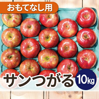 【ふるさと納税】青森 りんご 8～9月発送 サンつがる おもてなし用 約10kg 平均糖度12度以上! 冷蔵便【配送不可地域：離島・沖縄県】【1606543】