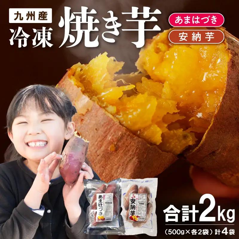 【先行予約】2026年10月より順次発送開始 あまはづき、安納芋焼き芋食べ比べセット N0152-YA1113
