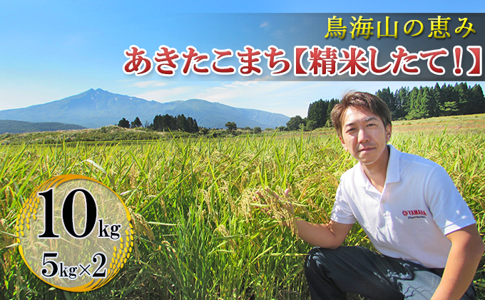 【新米先行予約 11月以降順次発送予定】 鳥海山の恵み 農家直送！ あきたこまち 10kg(5kg×2袋)【令和8年度産 白米 精米 秋田 にかほ】