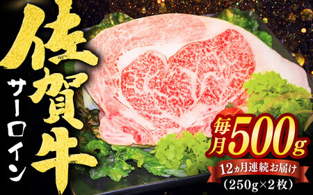 【全12回定期便】佐賀牛サーロインステーキ 計6kg（250g×2枚×12回） / ステーキ ステーキ ステーキ ステーキ ステーキ ステーキ ステーキ / 佐賀県 / ヤマサン食品 [41ADAA010]