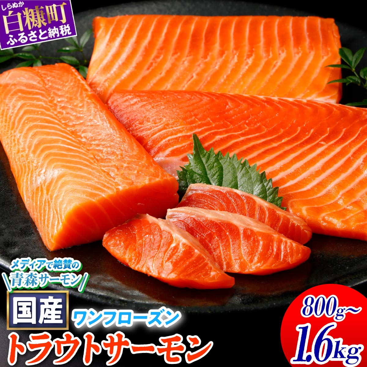 6/2～ 寄付額改定 高評価 4.93 国産ワンフローズントラウトサーモン 850g ふるさと納税 魚 サーモン 鮭 刺身 さけ サケ 人気 ふるさと 海鮮 海鮮食品 魚介類 魚介 北海道 白糠町