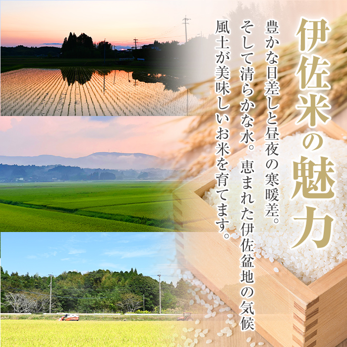 A7-03 いさひかり(5kg×2袋・計10kg) 一穂一穂大切に育てた自慢の伊佐産ヒノヒカリ お米 米 白米 精米 伊佐米 ご飯 ヒノヒカリ【JA北さつま】