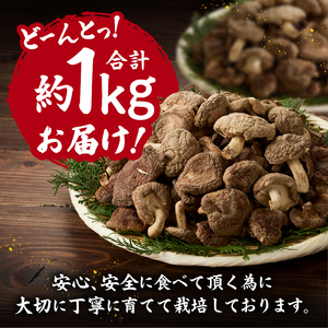 『満月しいたけ』菌床乾燥しいたけ　1kg 厳選 高級 椎茸 きのこ 肉厚 ジューシー 新鮮 農薬不使用 有機椎茸 山梨県産 北杜市産 [h122]