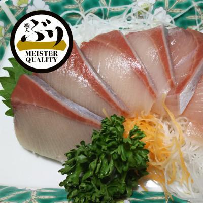 ふるさと納税 垂水市 【鹿児島産ぶり】冷蔵・ぶりフィレ(半身1枚)
