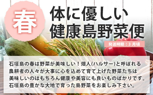 【4回/年定期配送 石垣島のタカラモノ便】 SH-3 春夏秋冬のお楽しみ(野菜 鮮魚 フルーツ 肉 牛肉 豚肉 加工品 八重山そば かまぼこ マグロ 果物 パイン マンゴー 頒布会 セット 贈答 4ヵ