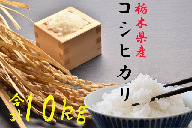 【9月改定】【令和6年度産新米】栃木県さくら市産コシヒカリ精米10kg（精米5kg×2袋）｜お米 ご飯 美味しい 産地直送 おうちごはん 白米 新米 自宅用 ※2024年10月上旬～2025年4月下旬頃に順次発送予定