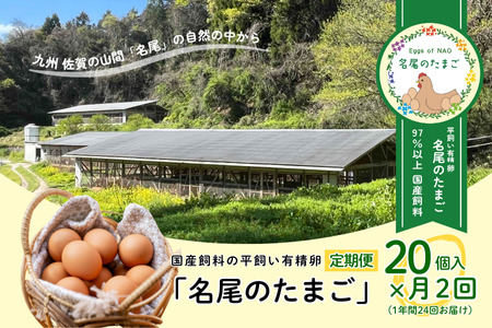 【定期便24回】国産飼料の平飼い有精卵「名尾のたまご」20個入：C210-003