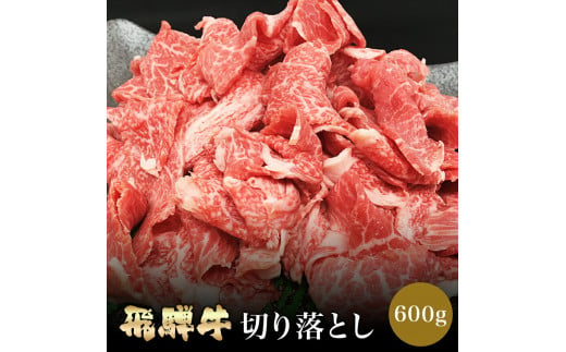 「肉の芸術品」飛騨牛切り落とし（モモ、肩、バラ）600g【用途は様々！焼肉、BBQ、すき焼き、煮物、牛丼、炒め物など】