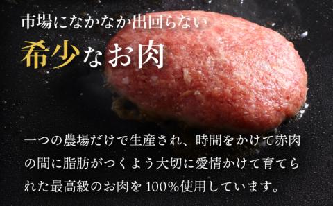 肉のあさひ 登別牛100％使用ハンバーグ 120g×5個[全2回お届け]　[na-0173]
