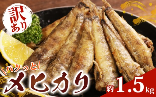 訳あり パクっとメヒカリ 約1.5kg めひかり 訳あり 目光 海鮮 魚 大容量 おかず 惣菜 魚介 焼魚 魚貝 フライ 南蛮漬け 唐揚げ バーベキュー レシピ おつまみ 弁当 朝食 昼食 夕食 米 にあう 酒 にあう 人気 手軽 冷凍食品 グルメ 贈答 贈物 ギフト 長期保存 小分け 便利 お取り寄せ BBQ 送料無料 冷凍 銚子港 水揚げ ふるさと納税 千葉県 銚子市 銚子 大一奈村魚問屋