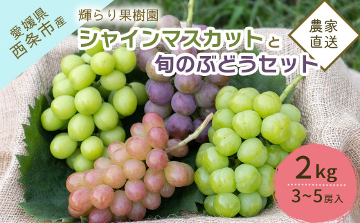 ぶどう詰め合わせ 【先行予約】 輝らり果樹園の完熟シャインマスカットと旬のぶどう 食べ比べセット 2㎏（3～5房） ｜ 2026年9月発送 ｜ 愛媛 西条産 秋ぶどう 朝採れ 農家直送 ぶどう シャインマスカット 完熟 人気 ブドウ 種なしぶどう フルーツ 果物 ギフト 送料無料