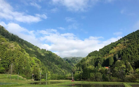 杵つきまるもち 540g 3袋セット（30個） | 杵つきまるもち もち まるもち 吉田ふるさと村 お菓子 島根県雲南市/株式会社吉田ふるさと村 [AIBB007]