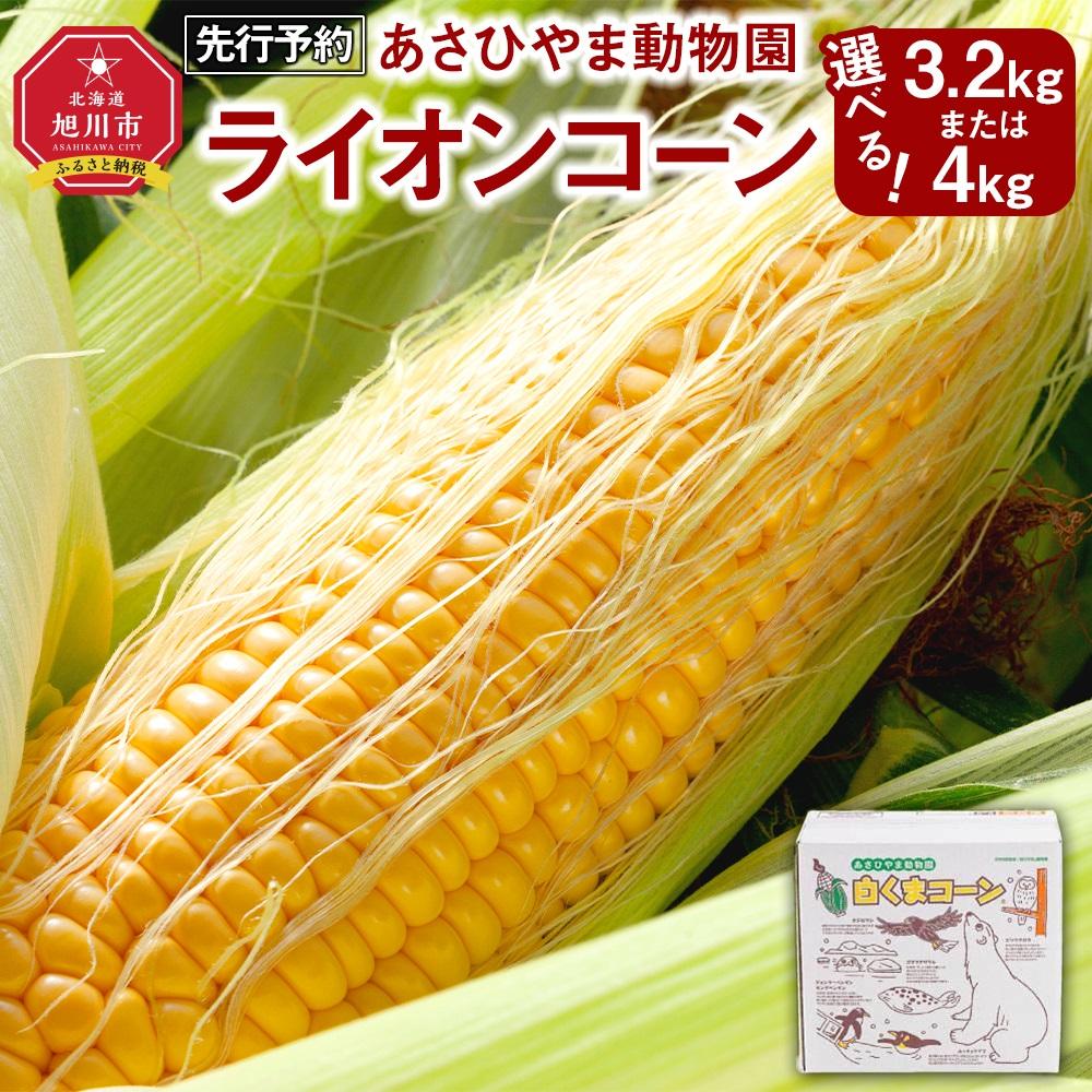 【ふるさと納税】【先行予約　容量選択可能】あさひやま動物園ライオンコーン約3.2kg～4kg(ゴールドラッシュ8～10本)2025年8月下旬～発送開始予定_00307 | とうもろこし ゴールドラッシュ ライオンコーン 旭川市