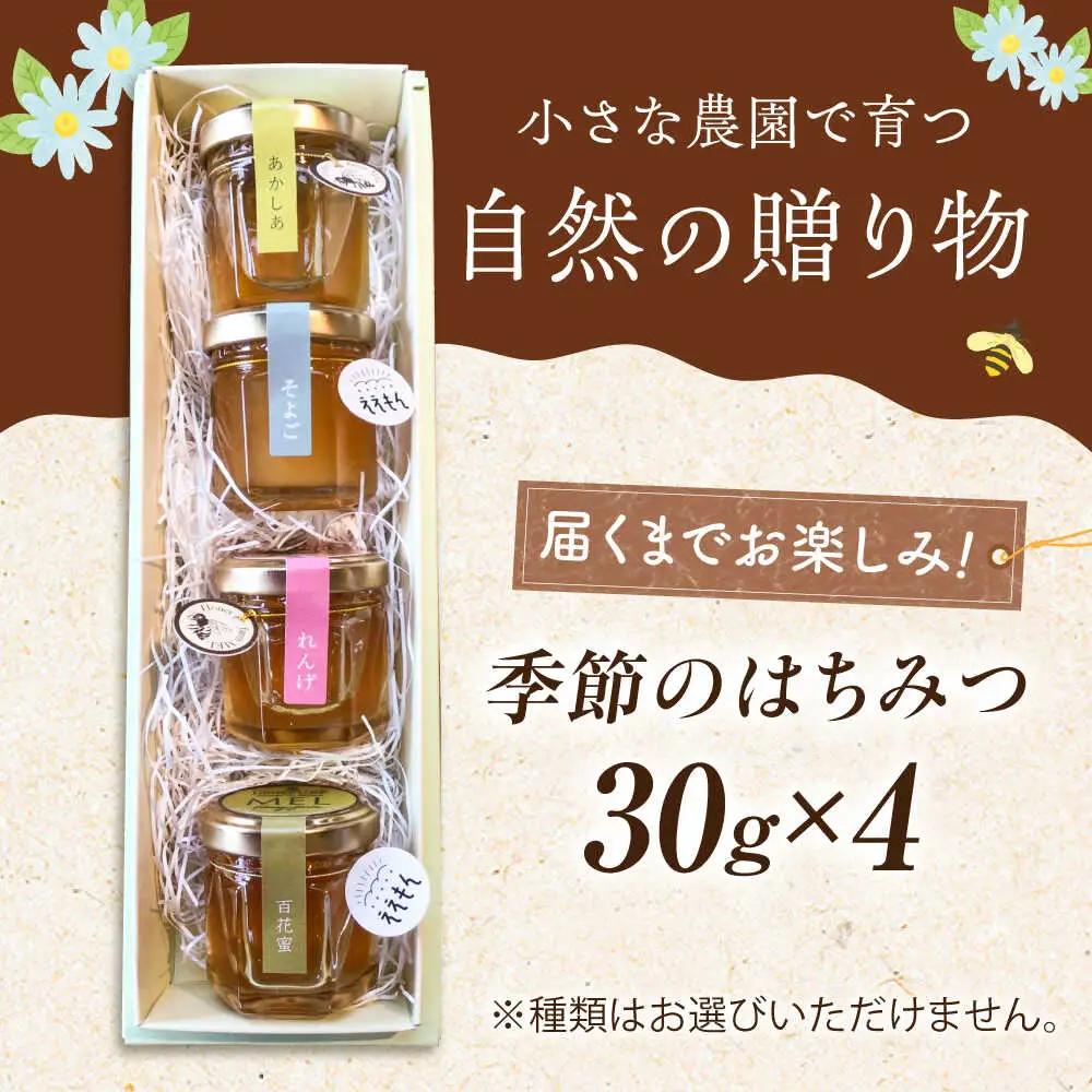 御嵩町産 はちみつ 4種セット ラ・プロヴァンス[AVAK005]蜂蜜