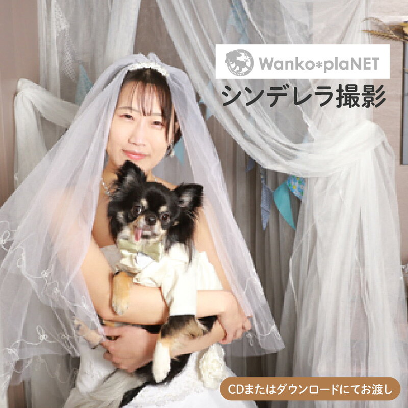 【ふるさと納税】 【ペット撮影】わんこ＊ぷらネットシンデレラ撮影【 写真 撮影 チケット ドレス レンタル フォーマル 衣装 テーマ シンデレラ ペット お子様 家族写真 データ A5サイズ プリント 記念日 お祝い 思い出 犬 猫 ウサギ 】